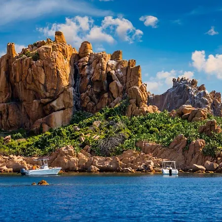 Stardust Sea 바리사르도