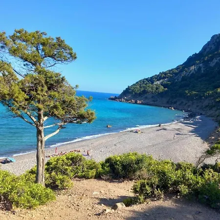 Stardust Sea 바리사르도